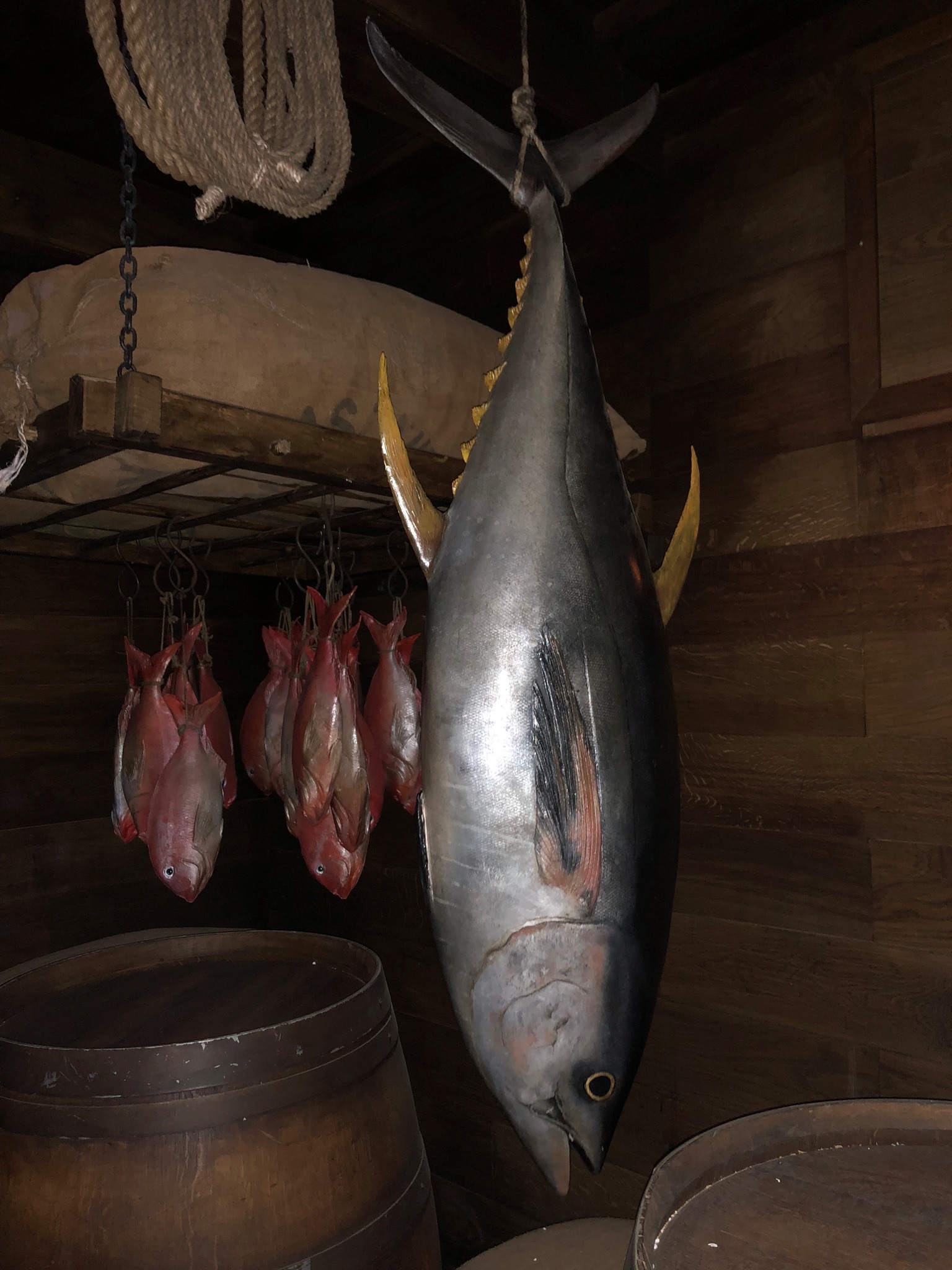 réplique d'un thon grandeur nature, en résine, objet factice, accessoires décor puy du fou